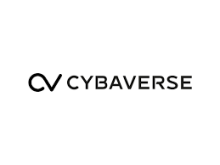 CV Cybaverse